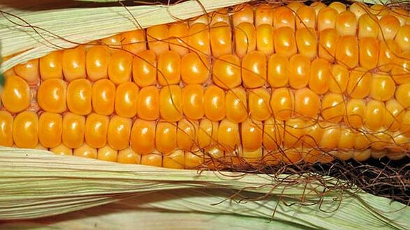 Ce qu'il ne faut pas manger avec le régime cétogène