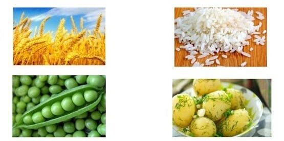 Augmentez les protéines et les fibres dans l’alimentation.